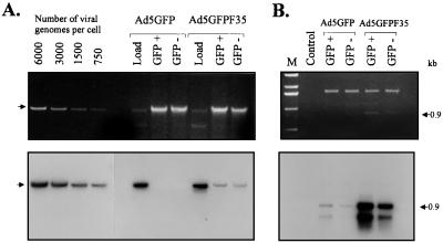 FIG. 11