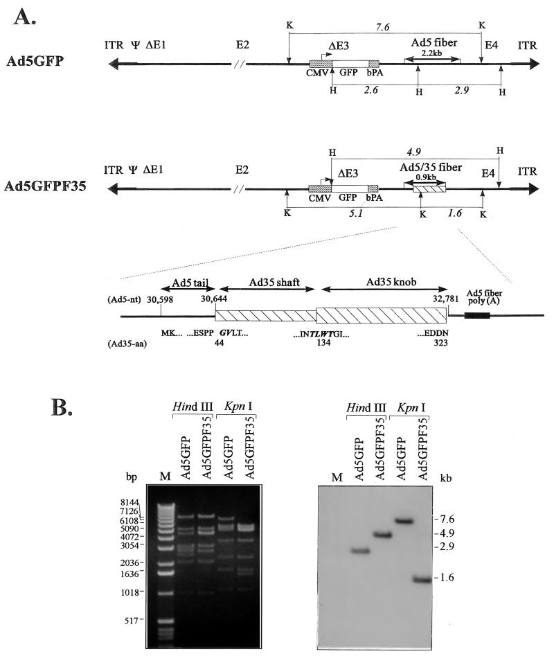 FIG. 5