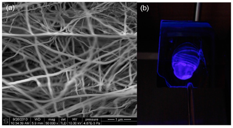 Figure 27