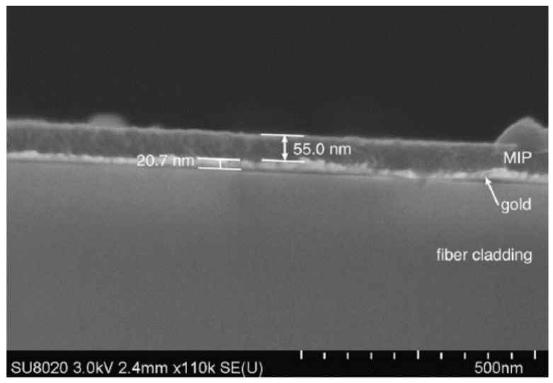 Figure 30