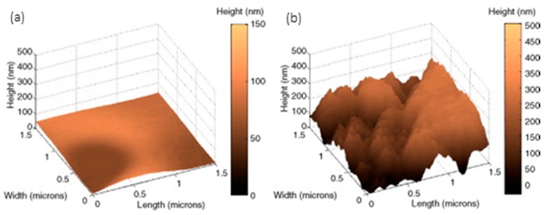 Figure 31