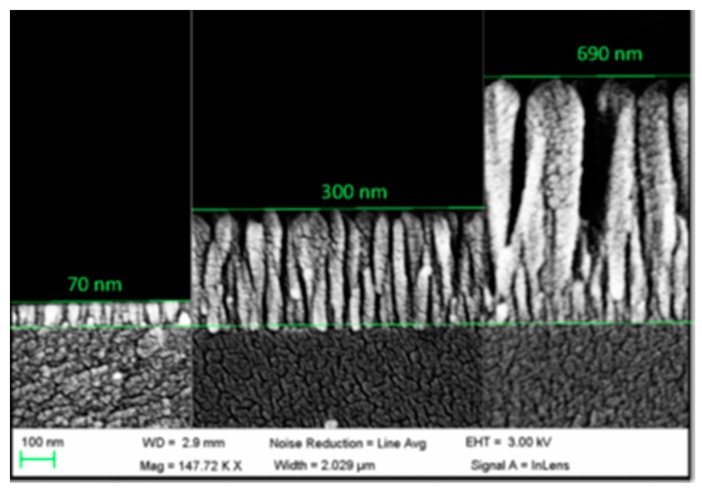 Figure 25