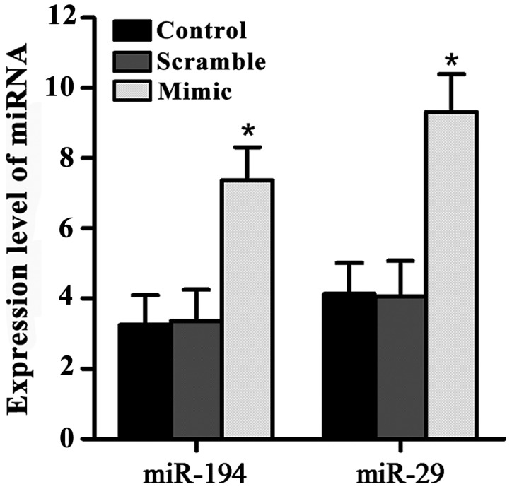 Figure 2.