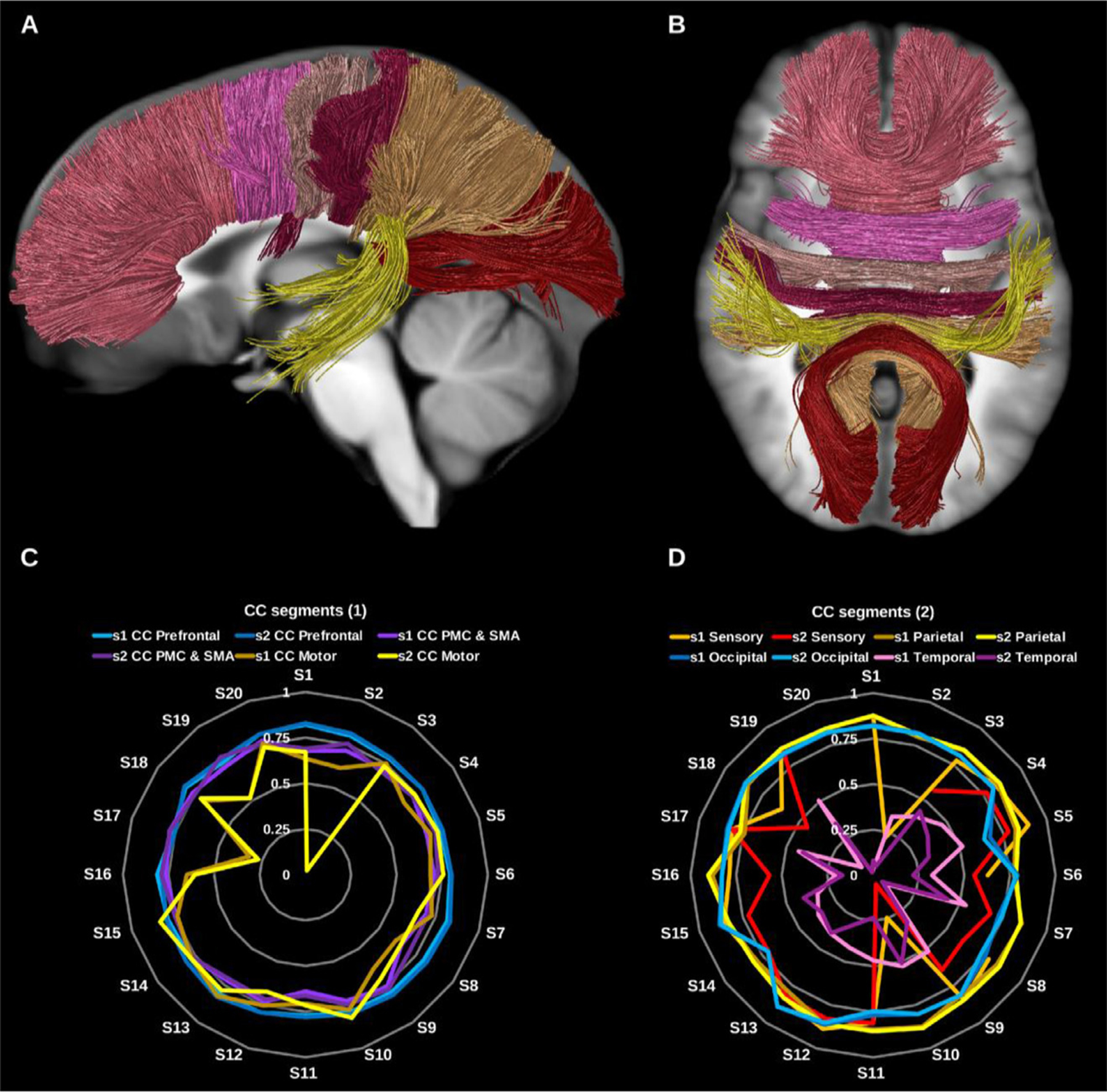 Fig. 13.