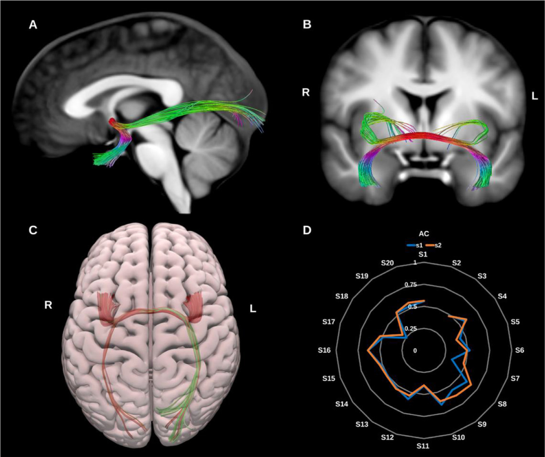 Fig. 12.