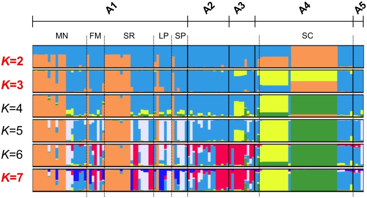 Fig 6