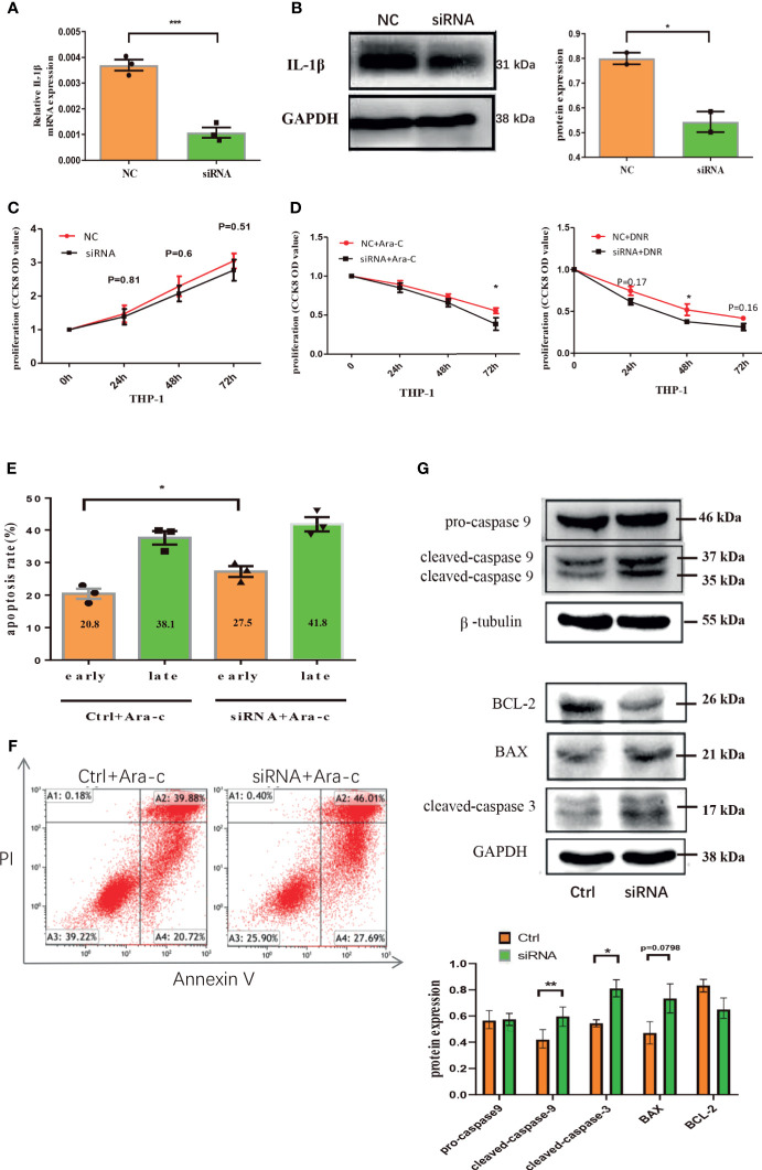 Figure 6