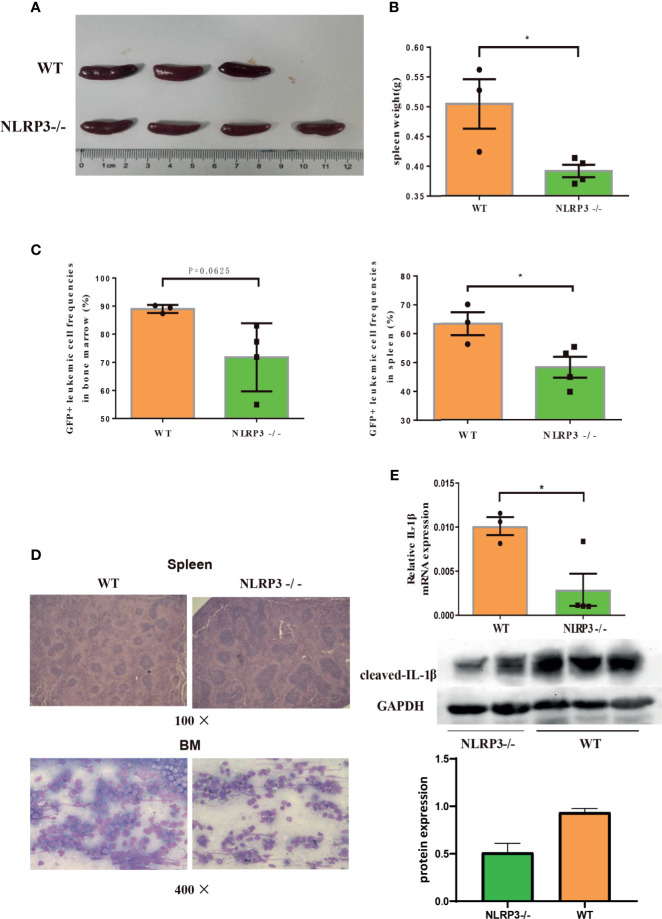 Figure 4