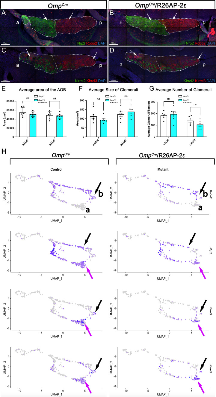 Figure 6—figure supplement 1.