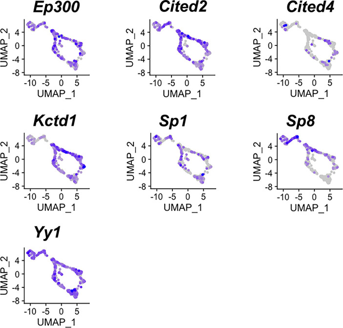 Figure 4—figure supplement 1.