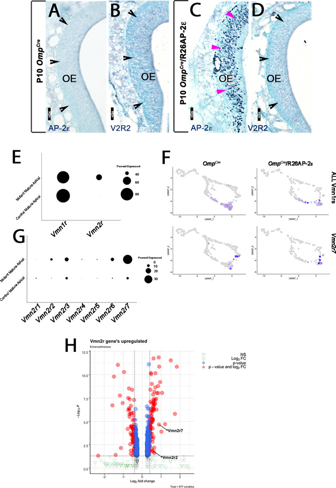 Figure 4—figure supplement 2.