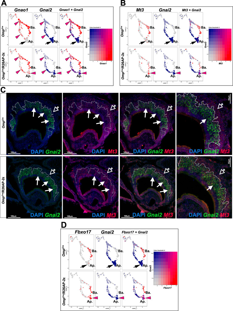 Figure 4—figure supplement 3.