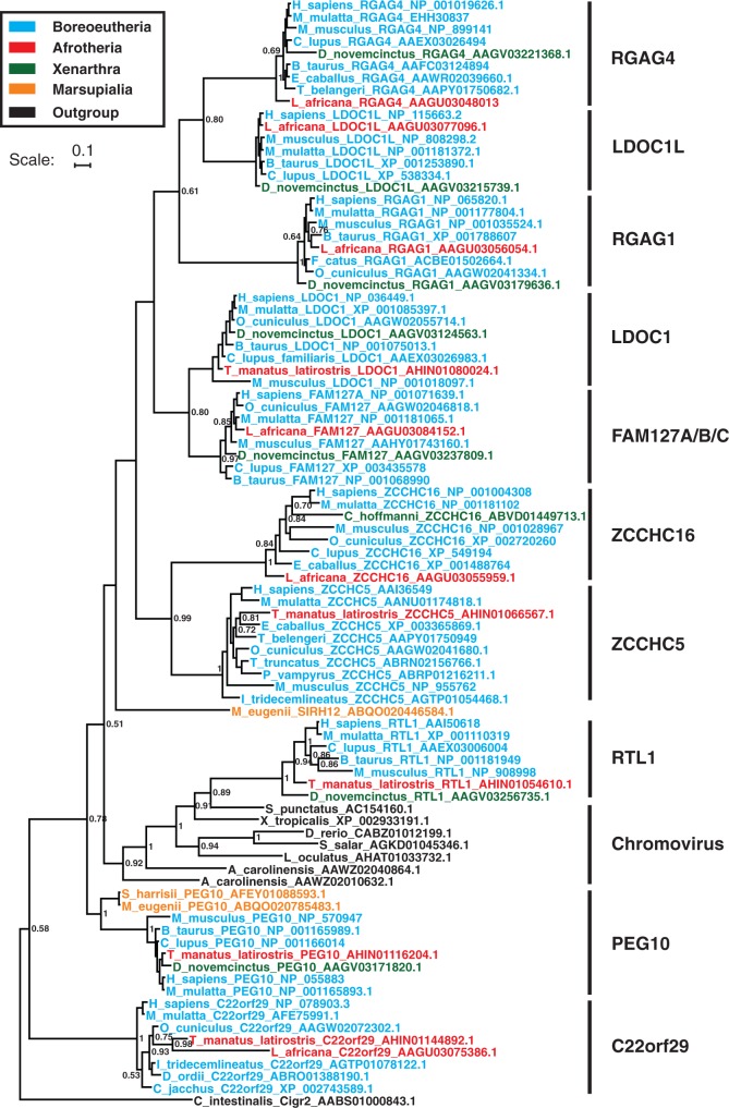 Fig. 2.