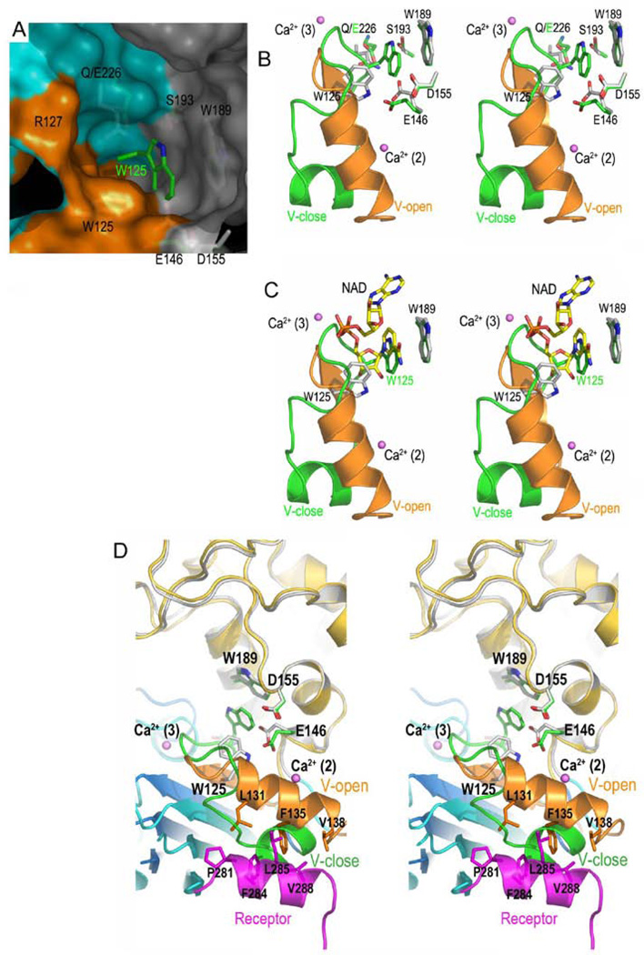 FIGURE 3