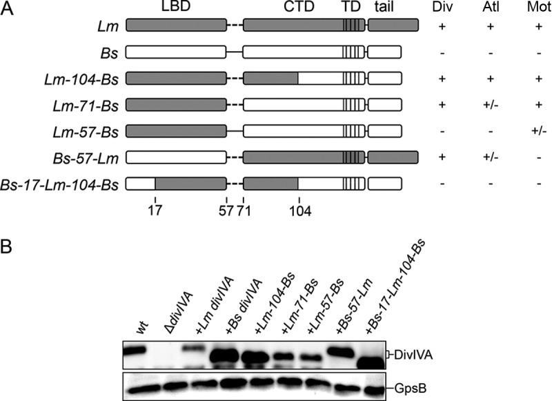 FIG 1