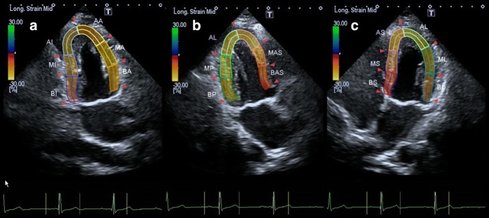 Fig. 1