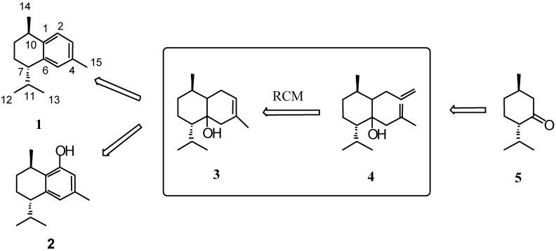 Scheme 1