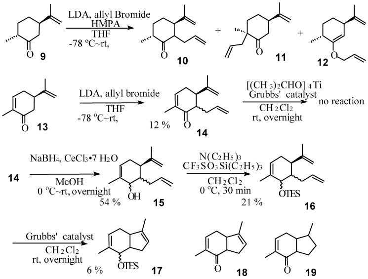 Scheme 3