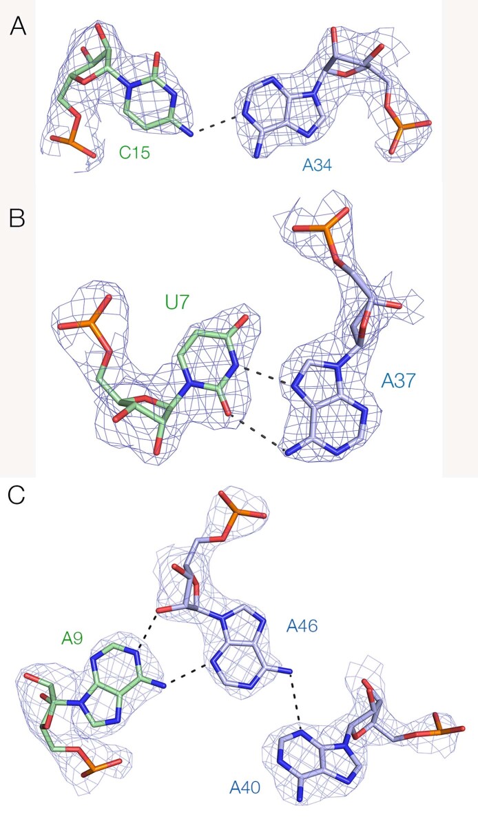 Extended Data Fig. 3