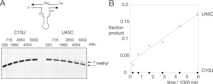 Extended Data Fig. 6