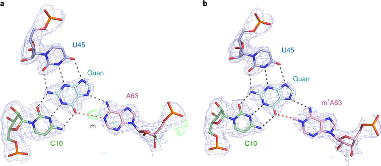 Fig. 3