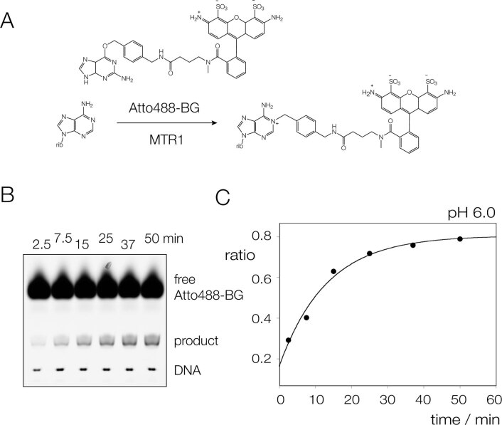 Extended Data Fig. 7