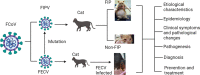 Image, graphical abstract