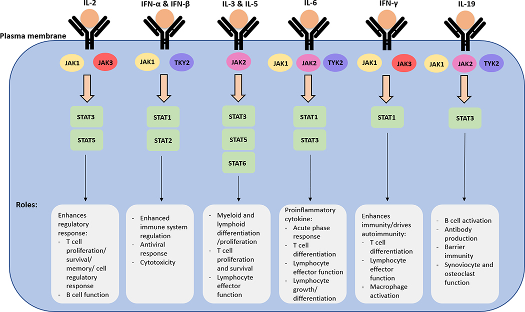 Figure 1: