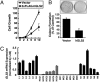 Fig. 5.