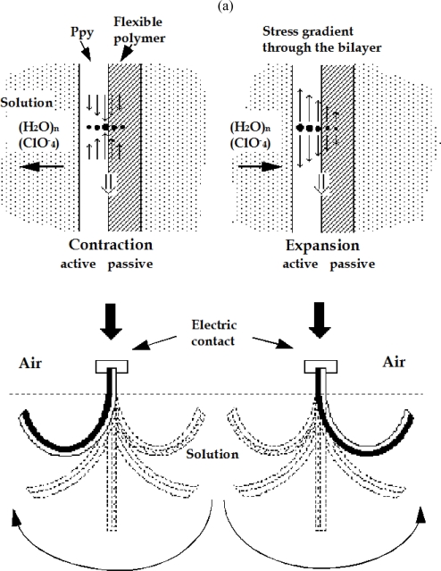 Figure 13.