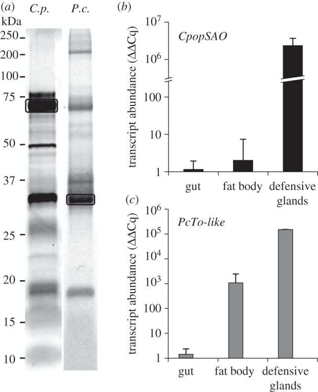 Figure 2.