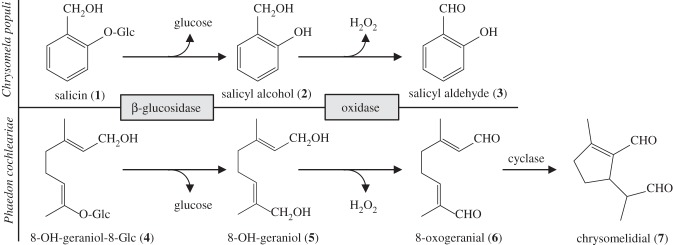 Figure 1.