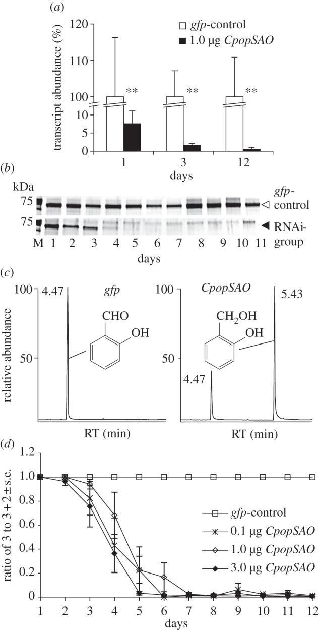 Figure 3.