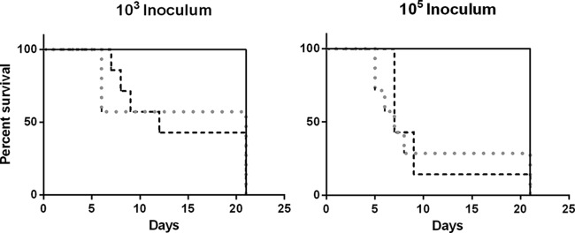 FIG 2