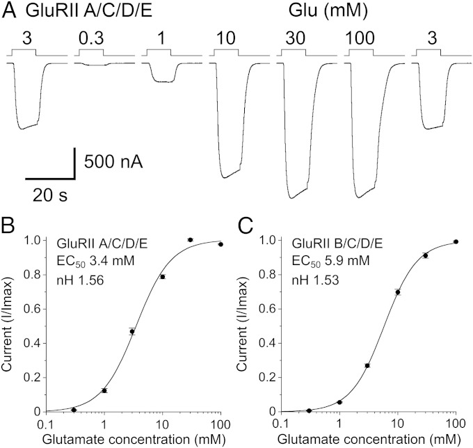 Fig. 4.