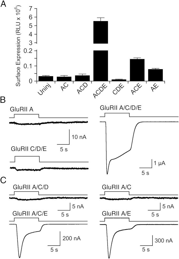 Fig. 2.