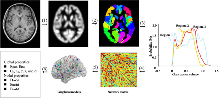 FIGURE 1