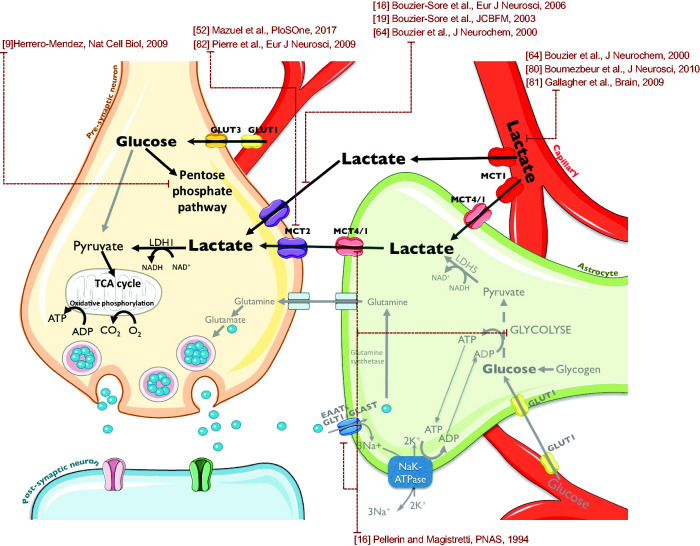 Figure 7.