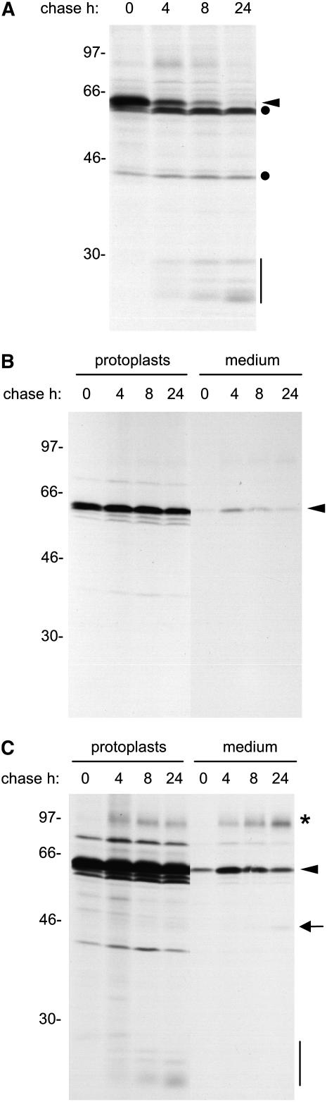 Figure 3.