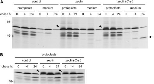 Figure 7.