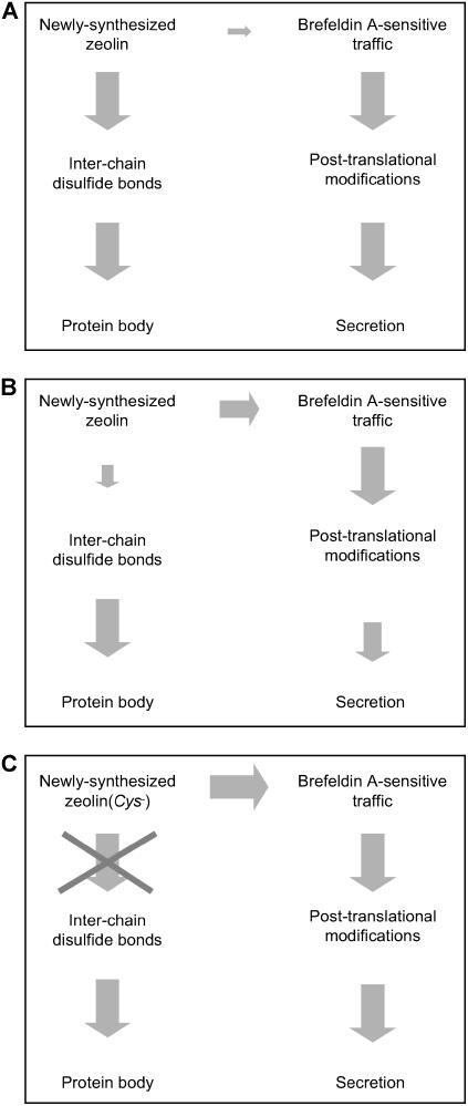 Figure 10.