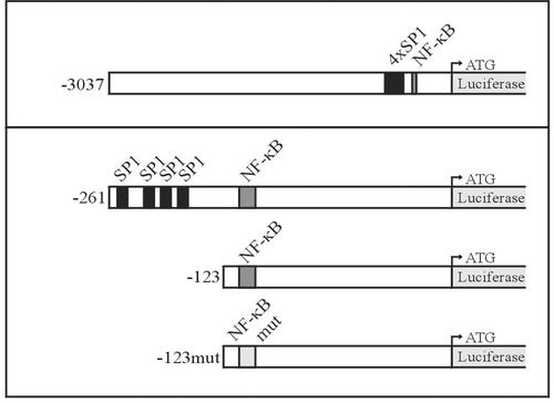 FIG. 5.