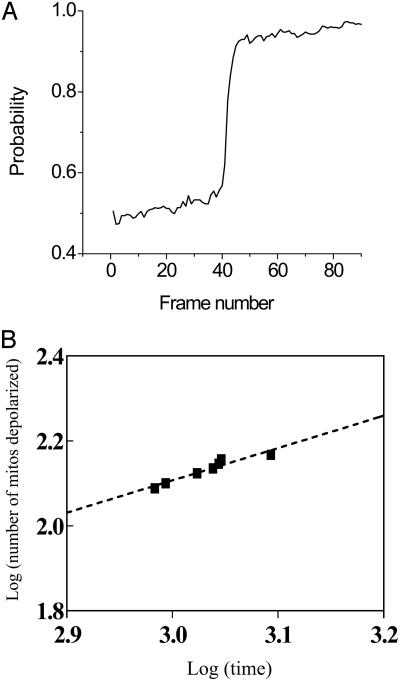 Fig. 5.