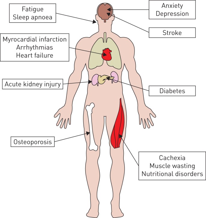 FIGURE 2