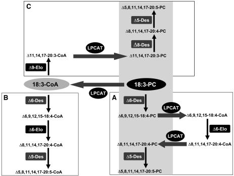 Figure 11.