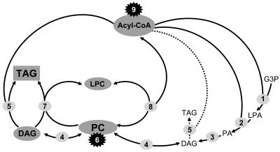 Figure 10.