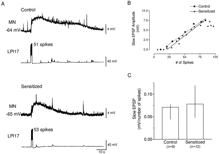 Fig. 8.