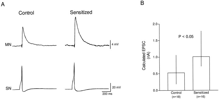 Fig. 6.