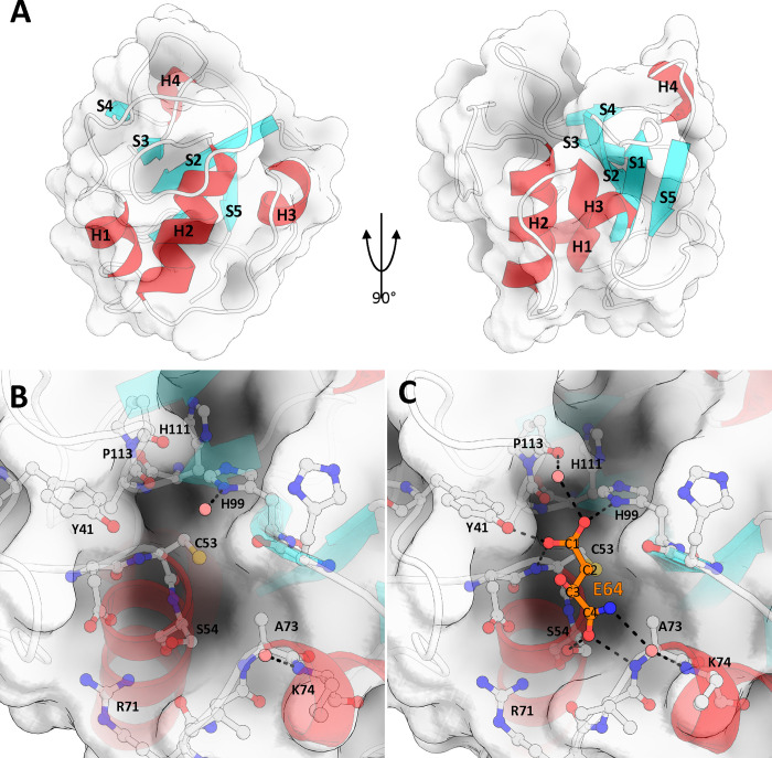 Fig 5