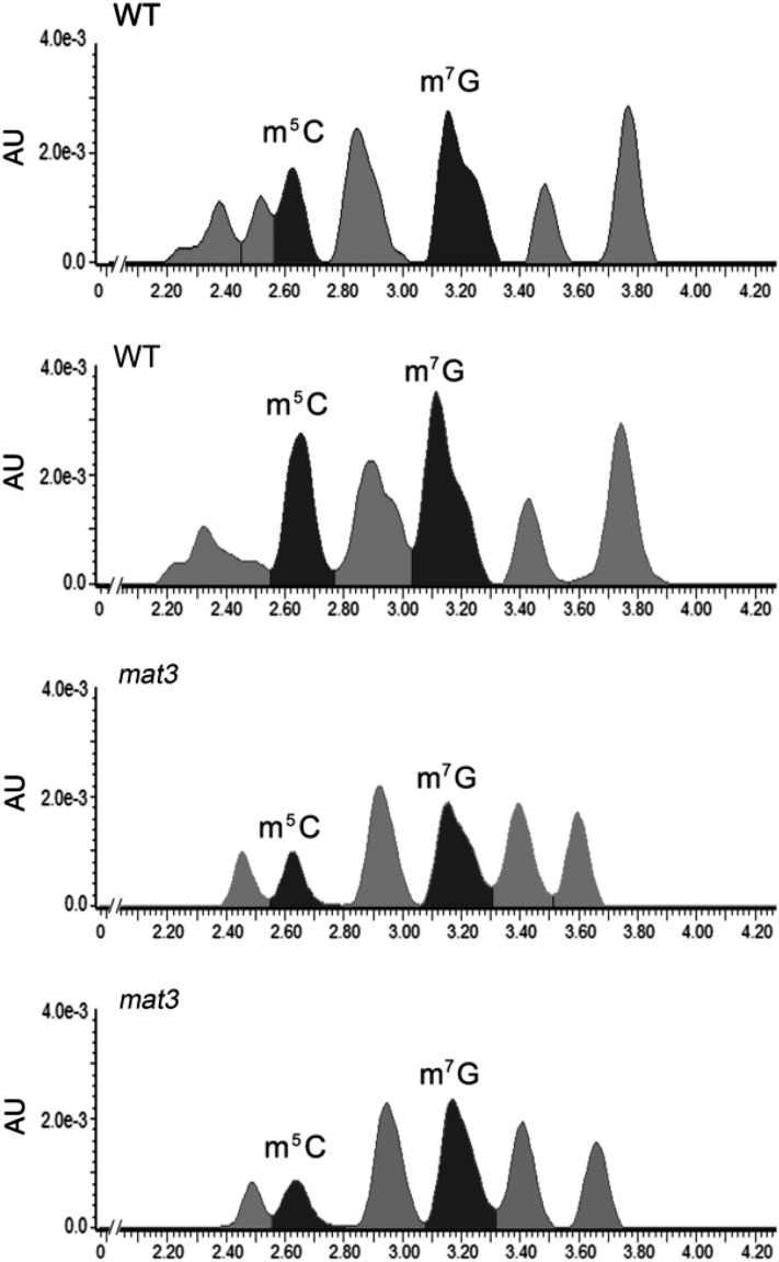 Figure 7.